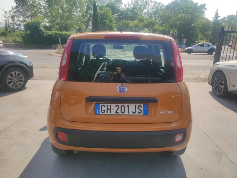 Fiat Panda 1.0 firefly hybrid 5