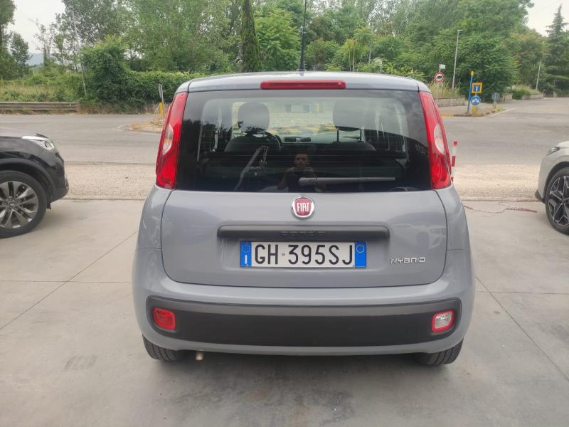 Fiat Panda 1.0 firefly hybrid 5