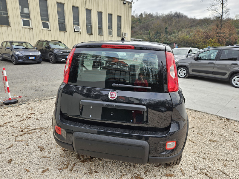 Fiat Panda 1.0 FireFly S&S Hybrid Pandina 6