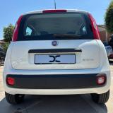 Fiat Panda 1.0. FireFLy Hybrid 