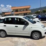 Fiat Panda 1.0. FireFLy Hybrid 