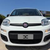 Fiat Panda 1.0. FireFLy Hybrid 