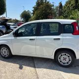 Fiat Panda 1.0. FireFLy Hybrid 