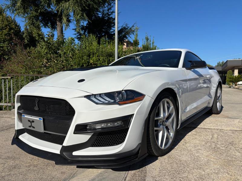 Ford Mustang Fastback 2.3 ecoboost 290cv "Allestimento Shelby" 1