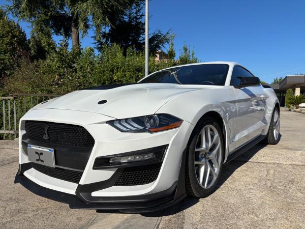 Ford Mustang Fastback 2.3 ecoboost 290cv "Allestimento Shelby"