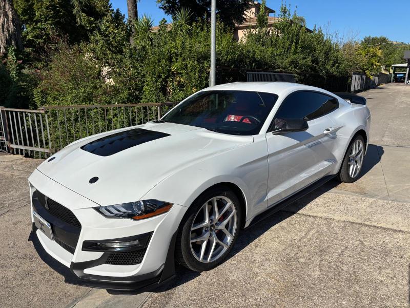 Ford Mustang Fastback 2.3 ecoboost 290cv "Allestimento Shelby" 2