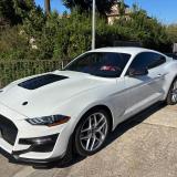 Ford Mustang Fastback 2.3 ecoboost 290cv "Allestimento Shelby"