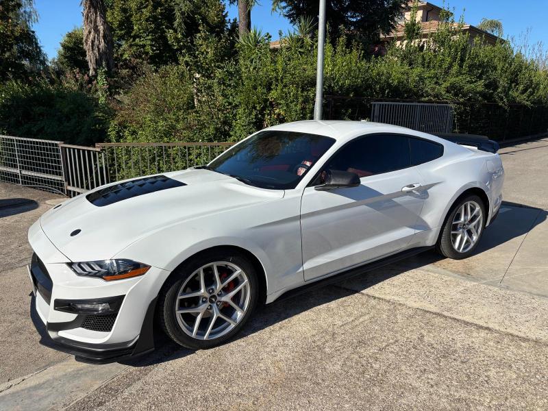 Ford Mustang Fastback 2.3 ecoboost 290cv "Allestimento Shelby" 3