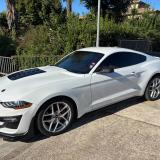 Ford Mustang Fastback 2.3 ecoboost 290cv "Allestimento Shelby"