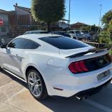 Ford Mustang Fastback 2.3 ecoboost 290cv "Allestimento Shelby"