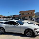 Ford Mustang Fastback 2.3 ecoboost 290cv "Allestimento Shelby"