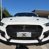 Ford Mustang Fastback 2.3 ecoboost 290cv "Allestimento Shelby"
