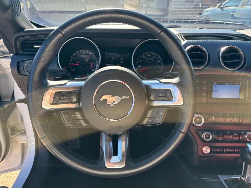 Ford Mustang Fastback 2.3 ecoboost 290cv "Allestimento Shelby" 12