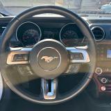 Ford Mustang Fastback 2.3 ecoboost 290cv "Allestimento Shelby"