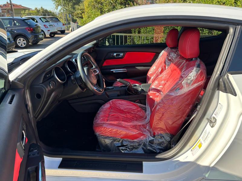 Ford Mustang Fastback 2.3 ecoboost 290cv "Allestimento Shelby" 13