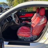 Ford Mustang Fastback 2.3 ecoboost 290cv "Allestimento Shelby"