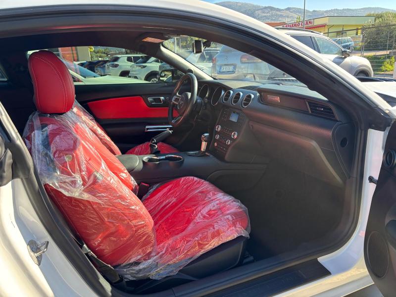 Ford Mustang Fastback 2.3 ecoboost 290cv "Allestimento Shelby" 14