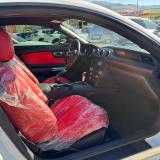 Ford Mustang Fastback 2.3 ecoboost 290cv "Allestimento Shelby"