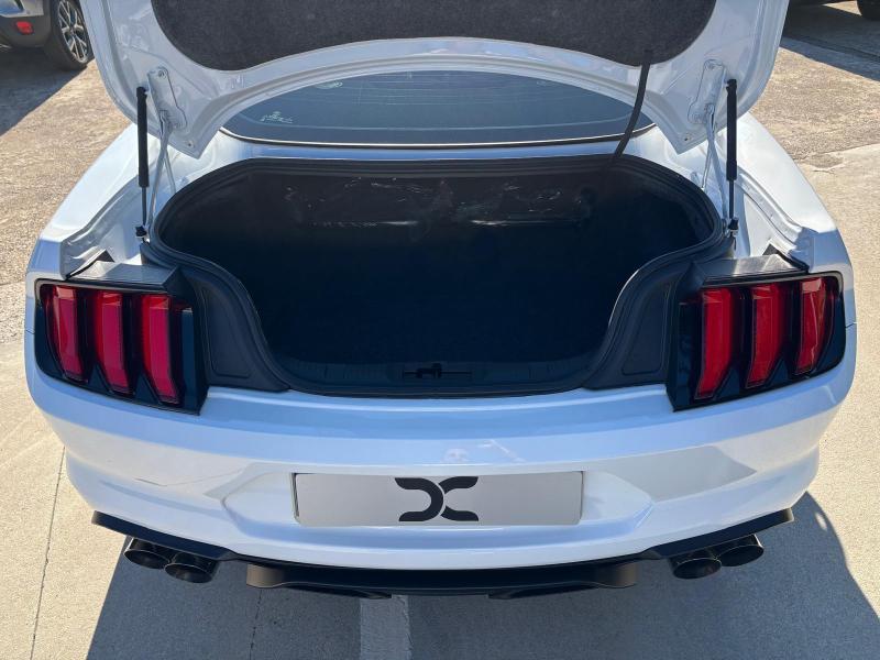 Ford Mustang Fastback 2.3 ecoboost 290cv "Allestimento Shelby" 16