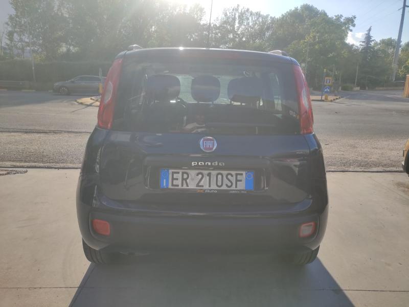 Fiat Panda III 1.2 Lounge 69cv 4