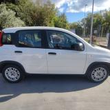 Fiat Panda III 1.0 firefly hybrid GPL
