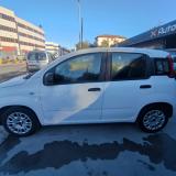 Fiat Panda III 1.0 firefly hybrid