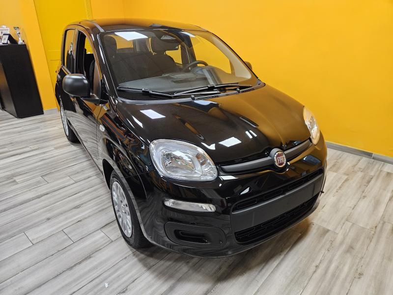Fiat Panda III 1.0 firefly hybrid Icon 1