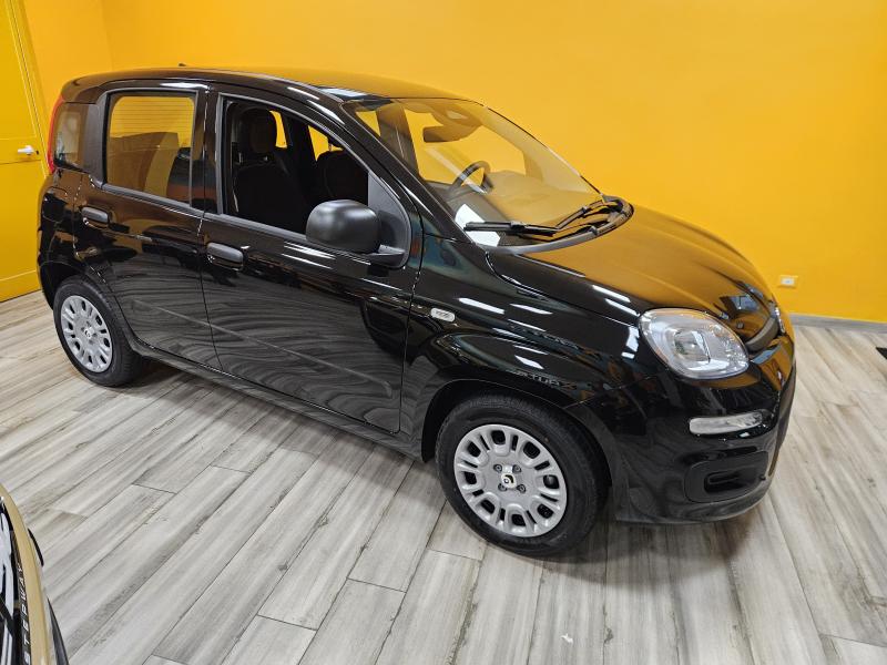 Fiat Panda III 1.0 firefly hybrid Icon 20
