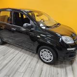 Fiat Panda III 1.0 firefly hybrid Icon