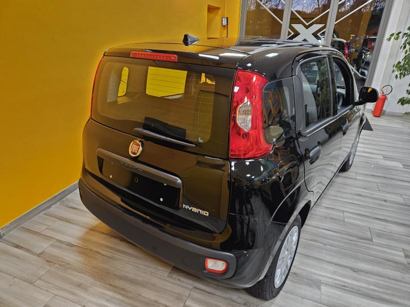 Fiat Panda III 1.0 firefly hybrid Icon 4