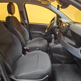 Fiat Panda III 1.0 firefly hybrid Icon