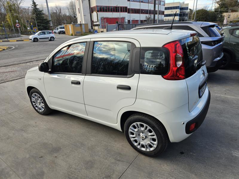 Fiat Panda 1.0 firefly hybrid Pandina 5 Posti 4