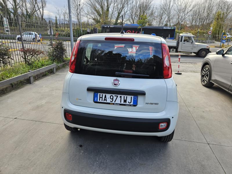 Fiat Panda 1.0 firefly hybrid Pandina 5 Posti 6