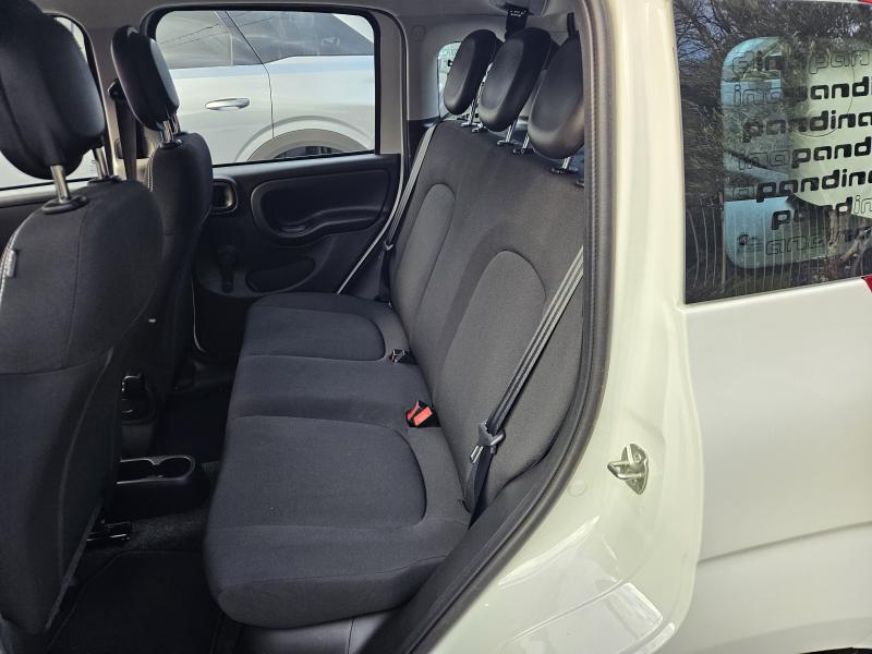 Fiat Panda 1.0 firefly hybrid Pandina 5 Posti 12