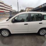 Fiat Panda 1.2 EasyPower Easy GPL 