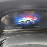 Ford Puma II 1.0 ecoboost h ST-Line Vignale