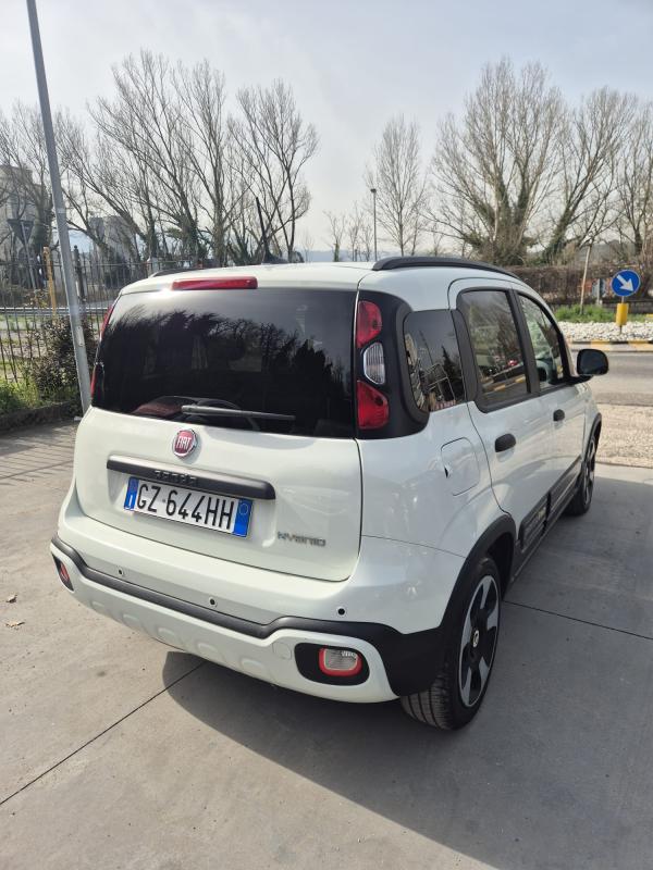 Fiat Panda Pandina Cross 1.0 firefly hybrid s&s 5
