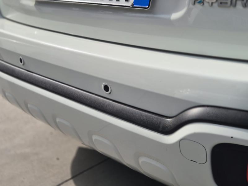 Fiat Panda Pandina Cross 1.0 firefly hybrid s&s 15