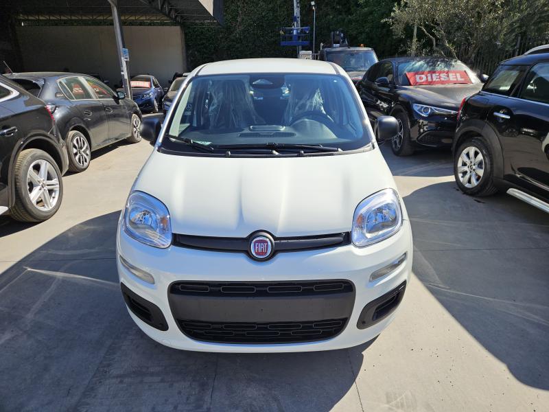 Fiat Panda Pandina Icon 1.0 firefly hybrid s&s 5 Posti e Ruota di Scorta 16