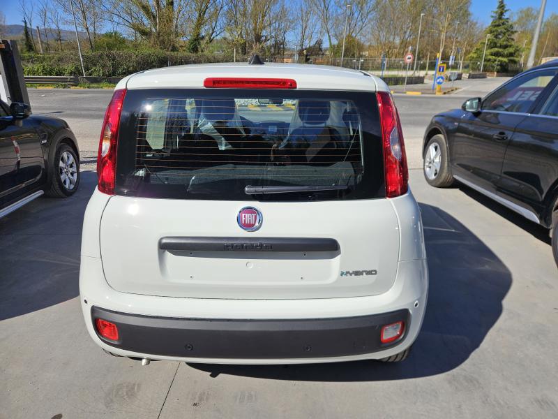 Fiat Panda Pandina Icon 1.0 firefly hybrid s&s 5 Posti e Ruota di Scorta 5