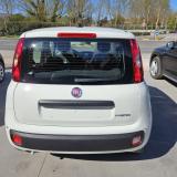 Fiat Panda Pandina Icon 1.0 firefly hybrid s&s 5 Posti e Ruota di Scorta