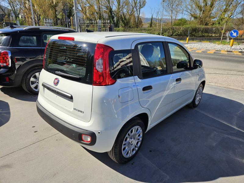 Fiat Panda Pandina Icon 1.0 firefly hybrid s&s 5 Posti e Ruota di Scorta 3