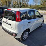 Fiat Panda Pandina Icon 1.0 firefly hybrid s&s 5 Posti e Ruota di Scorta