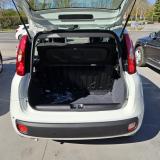 Fiat Panda Pandina Icon 1.0 firefly hybrid s&s 5 Posti e Ruota di Scorta