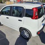 Fiat Panda Pandina Icon 1.0 firefly hybrid s&s 5 Posti e Ruota di Scorta
