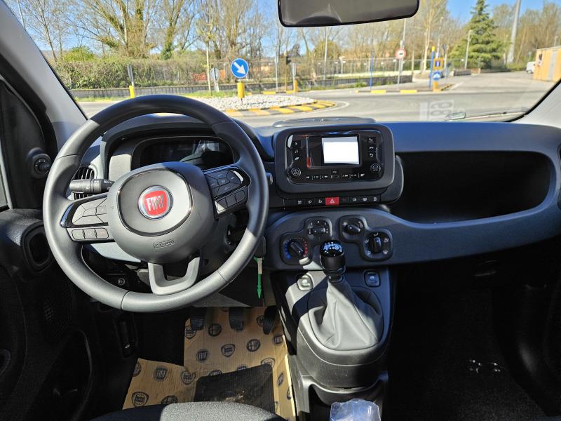 Fiat Panda Pandina Icon 1.0 firefly hybrid s&s 5 Posti e Ruota di Scorta 2