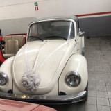 Volkswagen Maggiolino