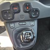 Fiat Panda III 1.0 firefly hybrid City Life
