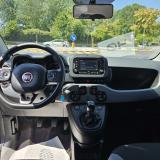 Fiat Panda III 1.0 firefly hybrid City Life