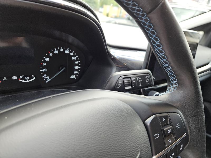Ford Fiesta 1.0 Ecoboost Hybrid 125 CV 5 porte Active 17
